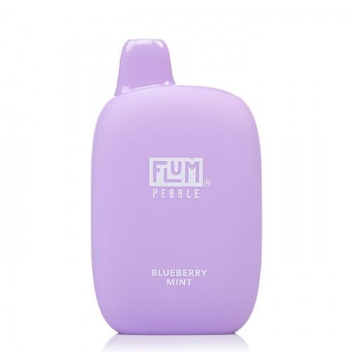 flum-pebble-6000-disposable-vape-blueberry-mint-1-pack-smoking-vibes